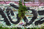 The-Stables-Kings-Park9