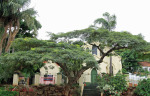 Brickfield - 123 Jan Smuts Avenue -  Church - Main Building (4)