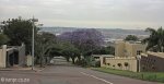 durban-glenwood-ellis-brown-j-b-marks-ave-s-29-51-711-e-30-59-207-elev-134m-3