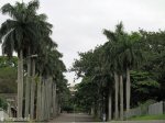 durban-glenwood-howard-college-avenue-s-29-52-093-e-30-59-032-elev-100m-1