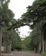 durban-glenwood-howard-college-avenue-s-29-52-093-e-30-59-032-elev-100m-5