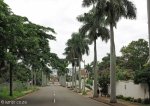 durban-glenwood-howard-college-avenue-s-29-52-093-e-30-59-032-elev-100m-8
