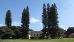durban-glenwood-cnr-james-henderson-rhodes-childrens-home-s-29-51-722-e-30-59-519-elev-60m-3