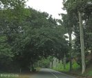 durban-glenwood-king-george-v-avenue-palms-s-29-51-761-e-30-59-241-elev-101m-2