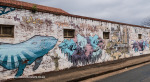 Durban-Glenwood-3
