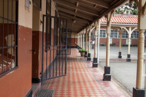 Durban - Greyville Primary School