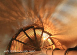 St Josephs Igreja Da Sao Jose bell tower stairs