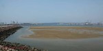 Durban Harbour - Container Terminal - low tide from Embankment (1)