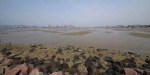 Durban Harbour - Container Terminal - low tide from Embankment (2)