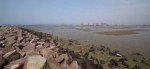 Durban Harbour - Container Terminal - low tide from Embankment (3)