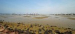 Durban Harbour - Container Terminal - low tide from Embankment (4)