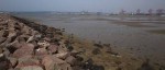 Durban Harbour - Container Terminal - low tide from Embankment (6)