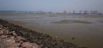 Durban Harbour - Container Terminal - low tide from Embankment (7)