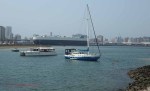 Durban Harbour - Harbour - Ro Ro ship - Osaka Car (3)