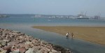 Durban Harbour - low tide views (9)