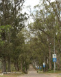 Inanda Seminary entrance driveway and gate (2)