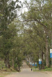Inanda Seminary entrance driveway and gate (3)