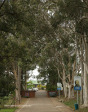 Inanda Seminary entrance driveway and gate (4)