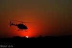 virginia-helicopter-takeoff-early-morning
