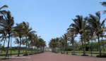 Kings Park Swimming Pool Precint (1.) (1)