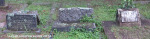 Malvern-Civil-Cemetery-Grave-McCormack-and-others33