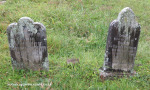 Malvern-Civil-Cemetery-Grave-William-and-Margaret-McGegor-60
