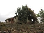 malvern-old-house-henderson-road-s-29-52-52-e-30-54-00