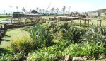 Durban Beach - Amphitheatre - Sunken Gardens (1)