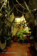 Durban Maritime Museum SAS Durban interior and engines (21)