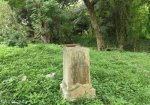 hillary-family-graves-end-coronation-road-caroline-2