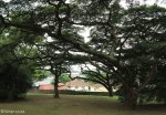 montclair-st-stephens-church-crozier-road-s-29-54-51-e-30-58-16