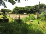 montclair-tennis-club-cricket-ground-wood-road-s-29-55-23-e-30-57-56-elev-61m-1