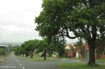 woodlands-new-forest-high-alemein-road-s-29-55-27-e-30-57-1
