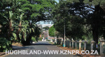 Madeira-Road-2