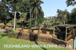 Mitchell-Park-Zoo-12