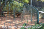 Mitchell-Park-Zoo-13