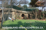 Mitchell-Park-Zoo-5