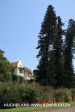 Morningside-Hollander-Crescent