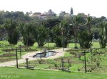 morningside-innes-road-jameson-park-gardens-s-29-49-667-e-31-00-601-elev-97m-36
