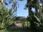 morningside-innes-road-jameson-park-gardens-s-29-49-667-e-31-00-601-elev-97m-41