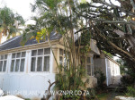 Durban Morningside - Currie Road (3)