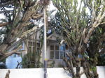 Durban Morningside - Currie Road (4)