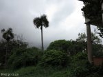 Durban - Morningside - Lambert Road No 213  (9)
