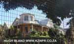 Morninside-SAPS-Windemere-road-1