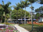 morningside-nimmo-road-blue-zoo-s-29-49-531-e-31-00-2