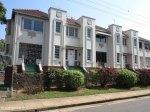 morningside-nimmo-road-houses-above-mitchell-park-no-23-1