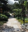 morningside-nimmo-road-mitchell-park-flowers-entrance-s-29-49-531-e-31-00-633-1