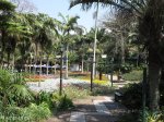 morningside-nimmo-road-mitchell-park-flowers-entrance-s-29-49-531-e-31-00-633-7