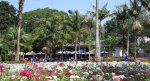 morningside-nimmo-road-mitchell-park-flowers-entrance-s-29-49-531-e-31-00-633-8