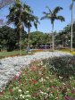 morningside-nimmo-road-mitchell-park-flowers-entrance-s-29-49-531-e-31-00-633-9